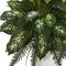 4ft. Mixed River Fern & Dogtail In White Tower Planter
